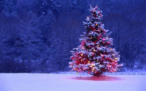 Create meme: the Christmas tree, Christmas tree, Christmas tree