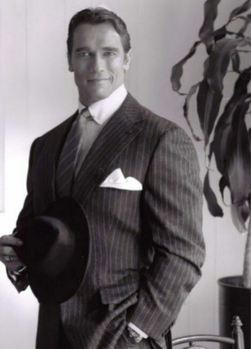 Create meme: Arnold Schwarzenegger , Arnold Schwarzenegger in a suit in his youth, Patrick Schwarzenegger