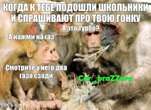 Create meme: macaques, bear macaque, monkey
