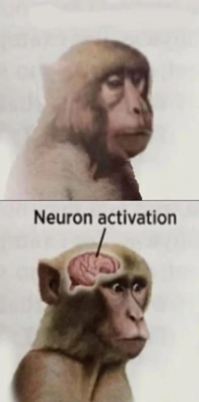 Create meme: neuron activation meme, meme monkey neuron activation, monkey brain