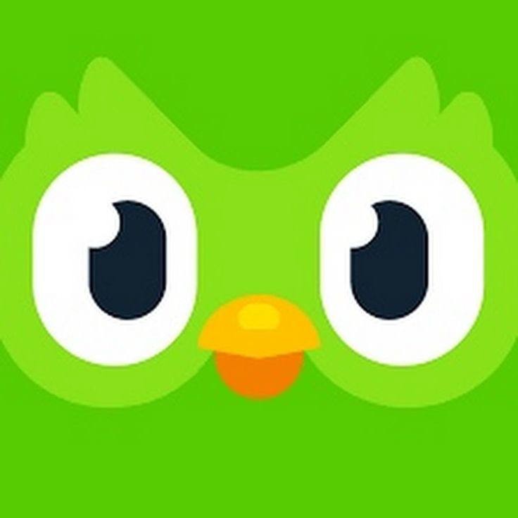 Create meme: duolingo, duolingo icon, owl duolingo