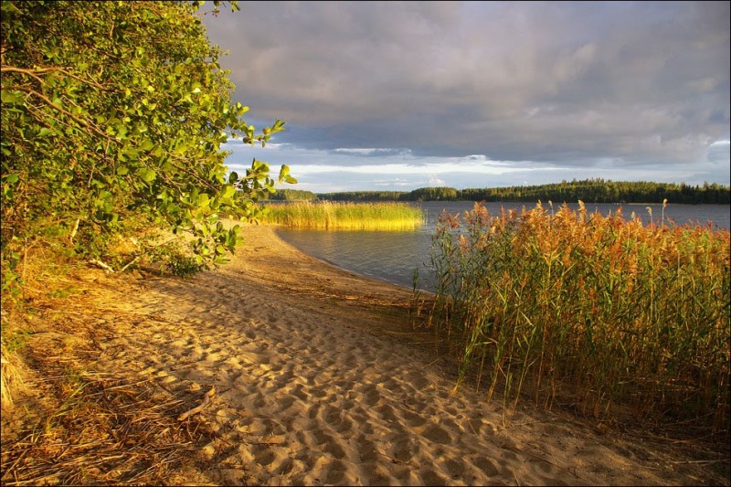 Create meme: sandy river bank, tavatui sandy beach, lake 