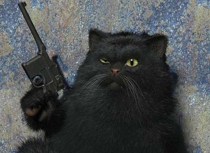 Create meme: cat with guns, cat , cat Motya 