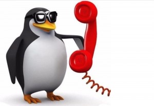 Create meme: penguin with phone meme, Hello this meme penguin, the penguin with the phone