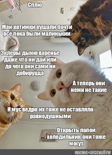 Ел почти