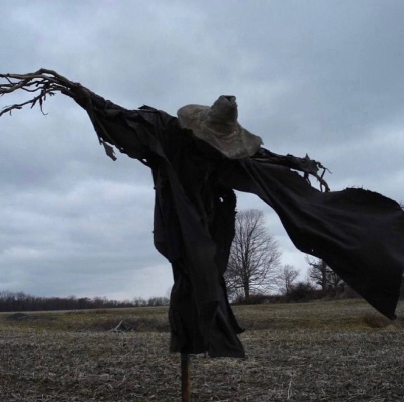 Create meme: The scarecrow is scary, SCP scarecrow, A scarecrow in a field