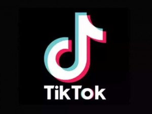 Create meme: tik Tok logo, tik Tok, icon tik Tok