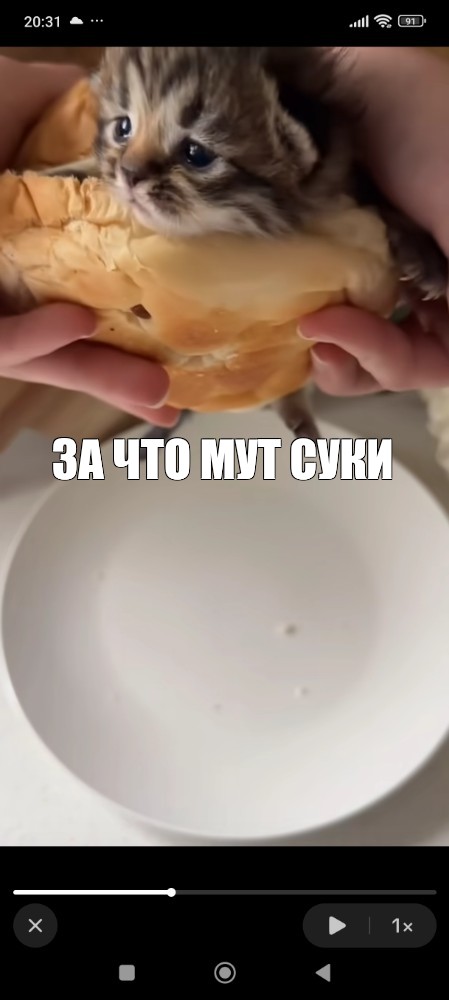 Создать мем: null