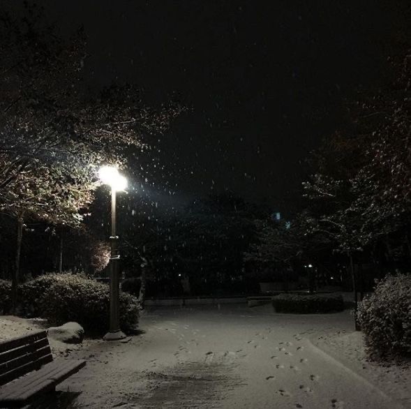 Создать мем: ночной снегопад, снежная ночь, вечерний зимний парк
