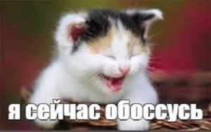 Create meme: Cat, cat laughing pictures, pictures of laughing kittens