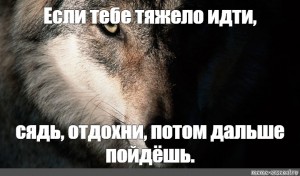 Иди сядь. Здорово мать Мем с волком. Тяжело идти. Устал Отдохни Мем волки. Ты девственница Мем волк.