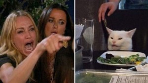 Create meme: 2 women and a cat meme, woman yelling at cat meme, meme with screaming woman and a cat