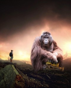 Create meme: animals, orangutan, monkey