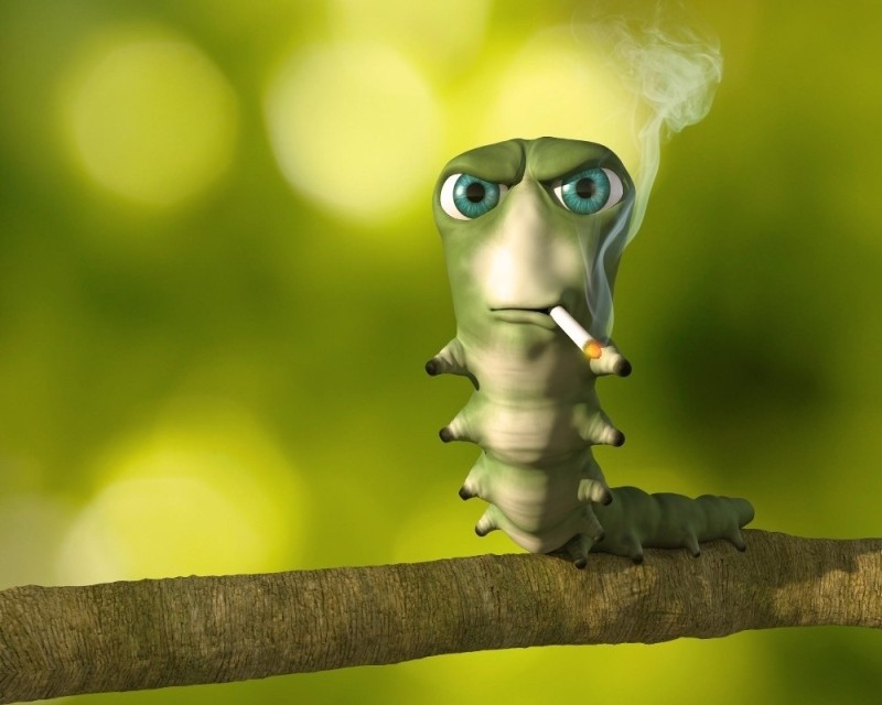 Create meme: a caterpillar with a cigarette in its mouth, caterpillar with a cigarette meme, caterpillar smokes a cigarette