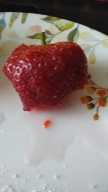 Create meme: strawberry , berry strawberry , strawberry variety majestic