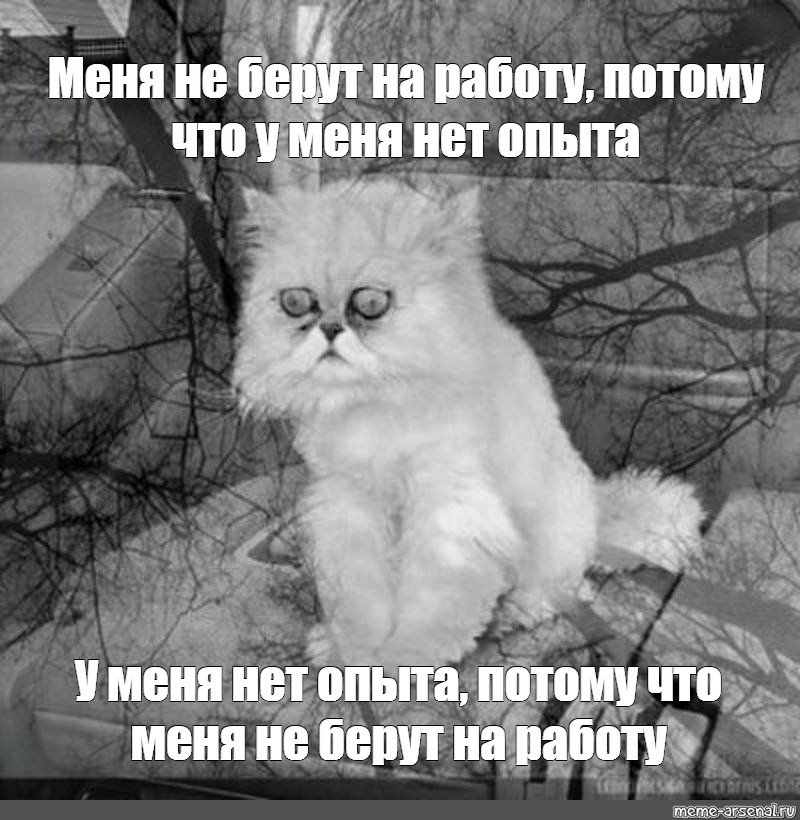 Ничего не брать и не давать. У меня нет работы. Мем про опыт работы. Нет работы нет опыта. Не взяли на работу Мем.