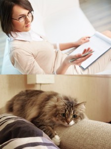 Create meme: how to counsel a person with anxiety, the cat is lying on the couch, the cat on the couch photo