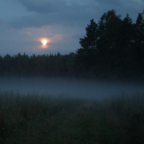 Создать мем: пейзаж с луной, ночь в деревне, ночные луга