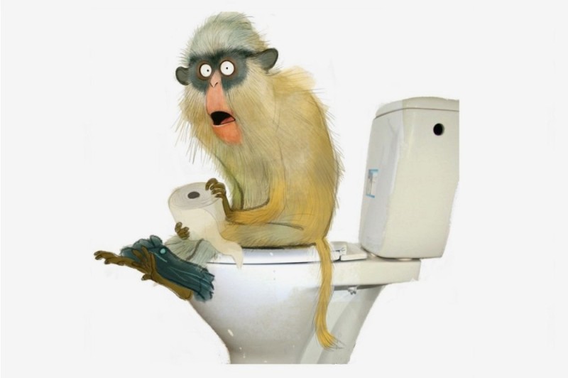 Create meme: funny animal, the toilet , monkey on the toilet