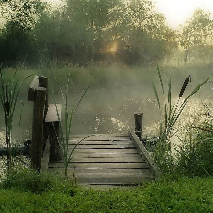 Create meme: the most beautiful landscapes, morning on the river, summer morning in the village