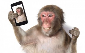 Create meme: monkey, the monkey and the selfie smartphone, monkey z
