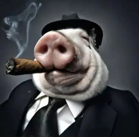 Create meme: pig face, pig in a suit, pig with a cigarette