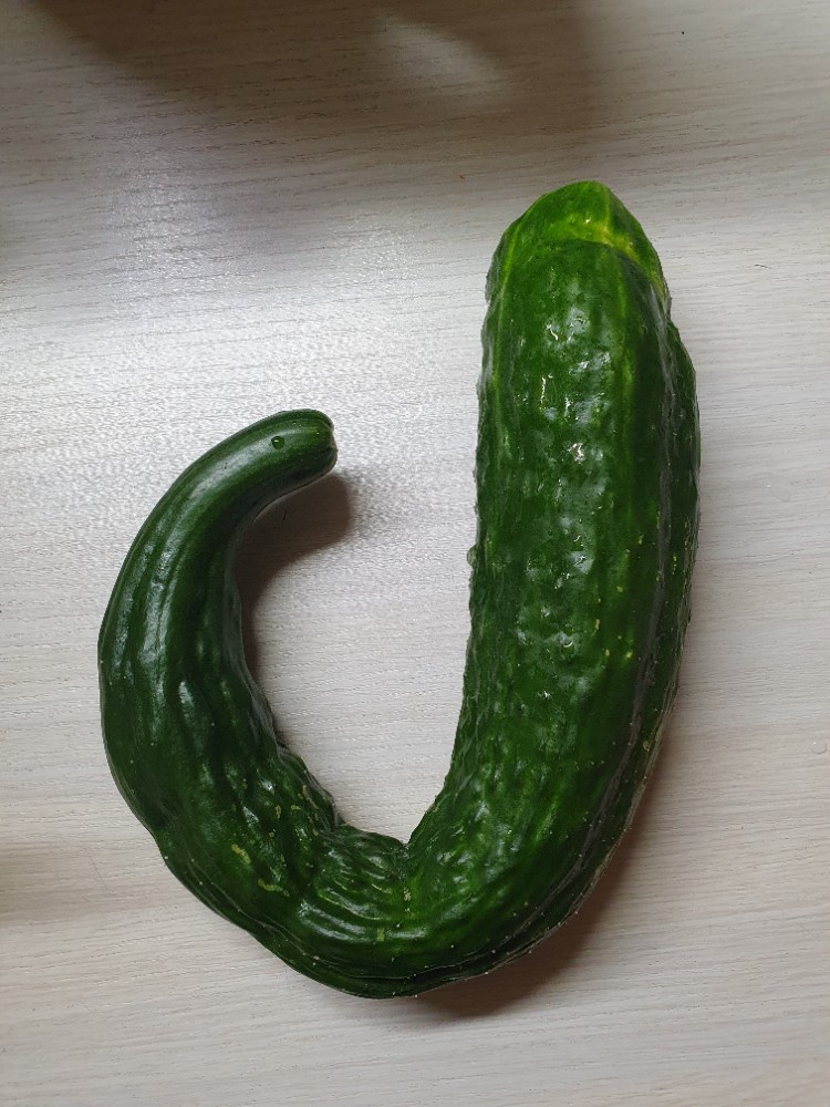 Create Meme Cucumber Cucumber Curved Yes Cucumber Pictures Meme