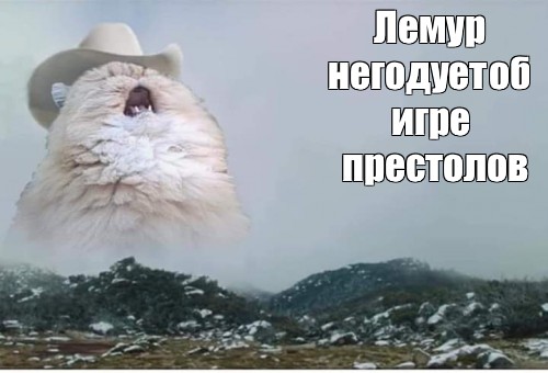 Кот в шляпе орет на фоне гор