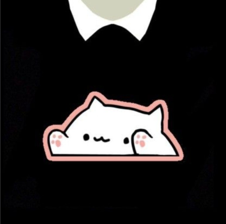 Create meme: bongo cat, bongo ket ket, bongo cat t-shirt roblox