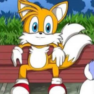 Create meme: tails