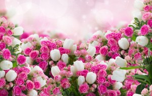 Create meme: roses, flowers, bouquet of flowers background