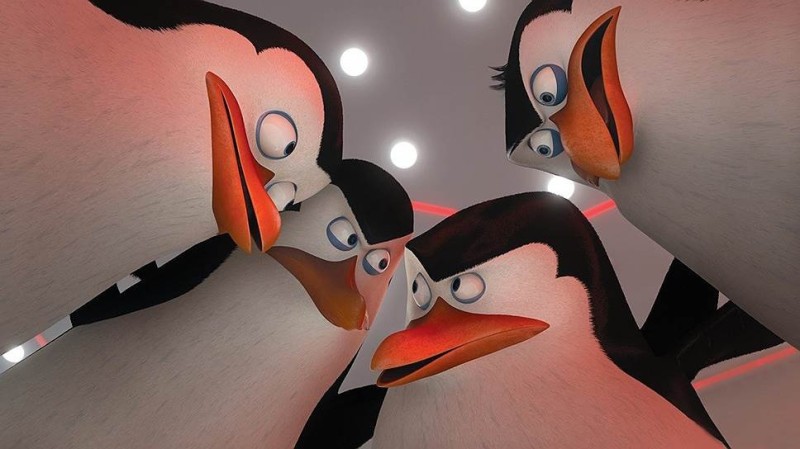 Создать мем: пингвины из мадагаскара морт, пингвины мадагаскара шкипер 2014, пингвины из мадагаскара