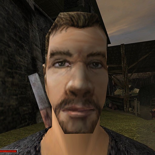 Create meme: gothic 2 nameless, nameless gothic, male 