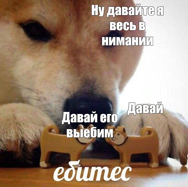 Создать мем: null