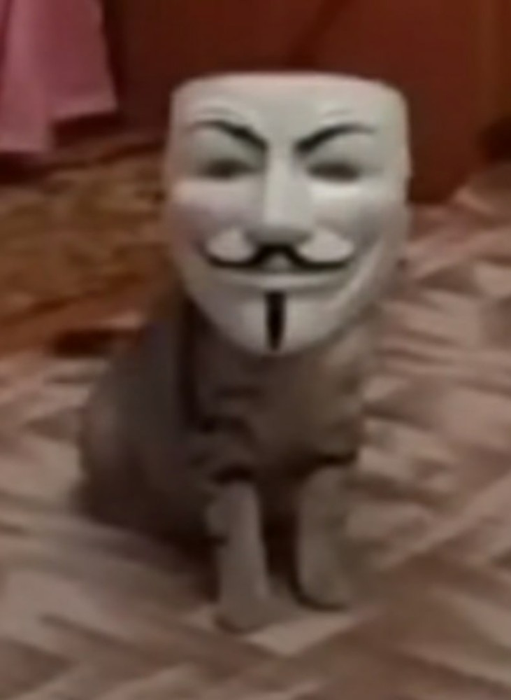 anonymous mask meme