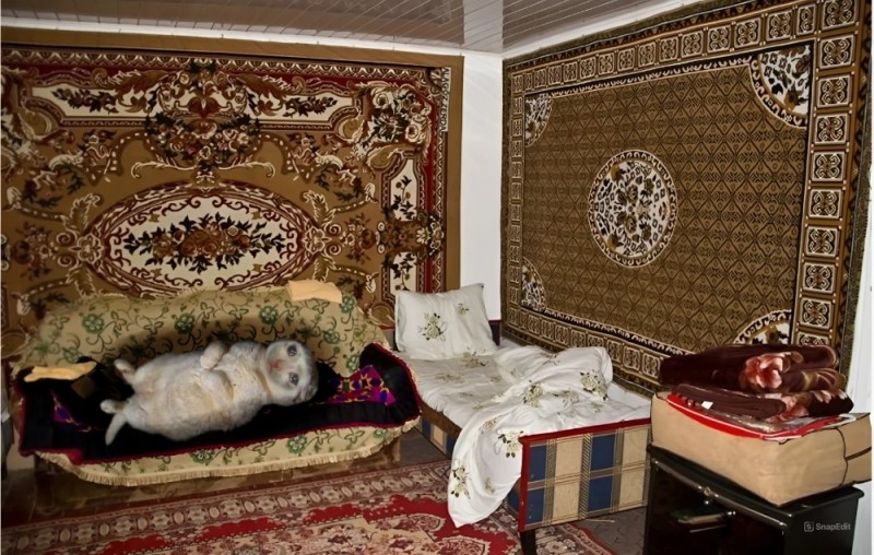 Create meme: the carpet on the wall , soviet carpet on the wall, a room with a carpet