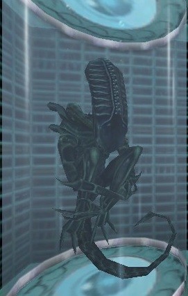 Create meme: Alien Xenomorph AVP 2010, The game is alien, The xenomorph is betrayed