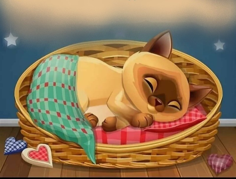 Create meme: good night postcard, Good night cool, sleeping cartoon cat