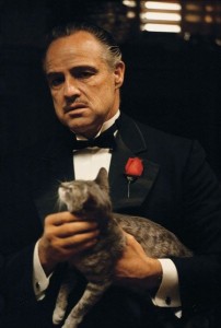 Create meme: the godfather with a cat photo, don corleone, the godfather Brando