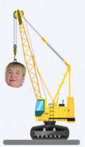 Create meme: crane