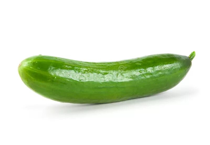 Create meme: cucumber without background, long cucumber, fresh cucumber