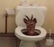 Create meme: blown up toilet bowl, toilet , animals funny 