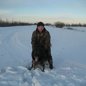 Create meme: hunting dog for the hunting of animals, Sergey Golushko, hunting