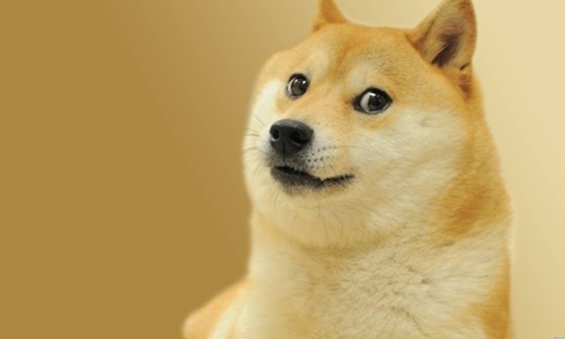 Create meme: shiba inu, shiba inu meme, Shiba inu doggie