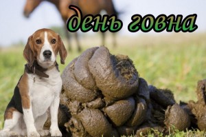 Create meme: Beagle, puppy Beagle, breed Beagle