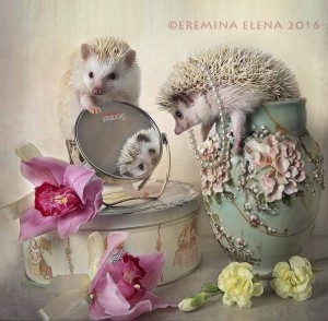 Create meme: hedgehogs animals, Elena Eremina hedgehogs, Elena Eremina