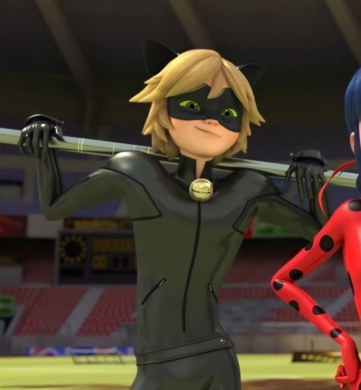 Создать мем: леди баг и супер кот miraculous, супер кот, новая леди баг