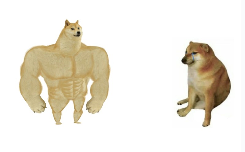 Create meme: dog Jock, pumped up dog meme, the dog is a jock meme