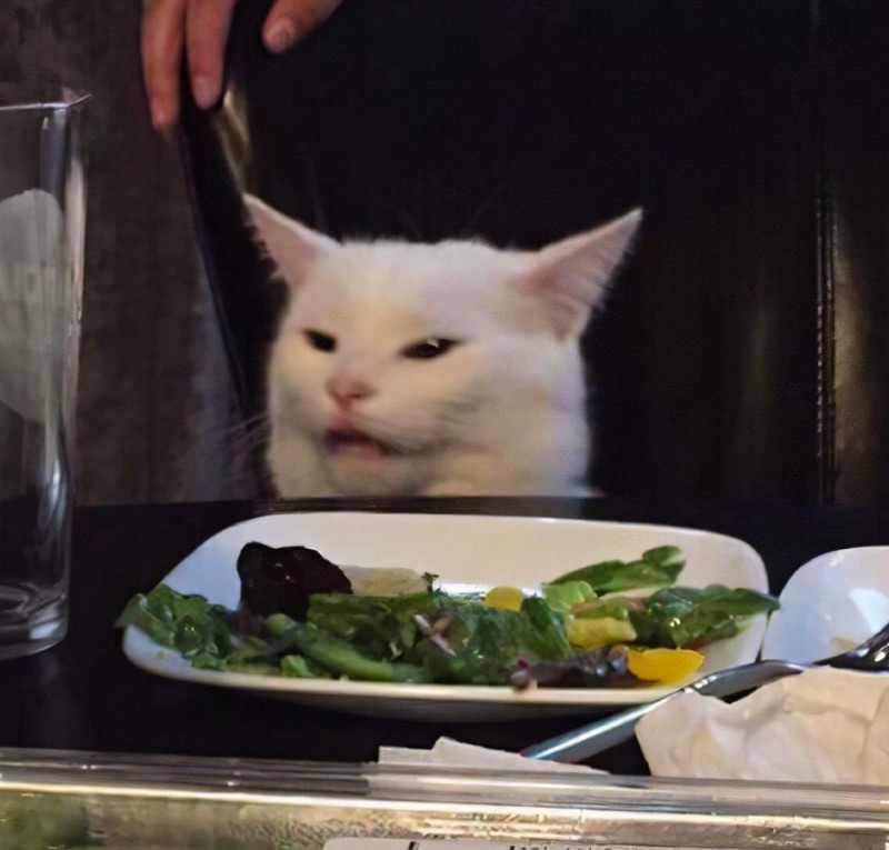 Создать мем: коты за столом, мемы с котом за столом, кот за столом