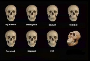 Создать мем: skull, черепа